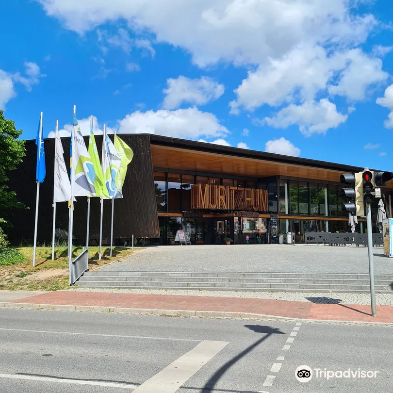 3_Mueritzeum Aquarium