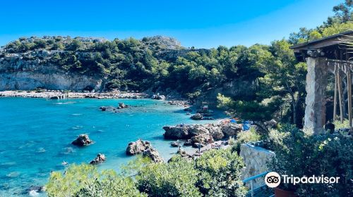 Anthony Quinn Bay