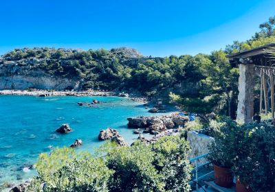 Anthony Quinn Bay