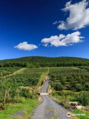 Wilklow Orchards