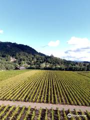 Hafner Vineyard