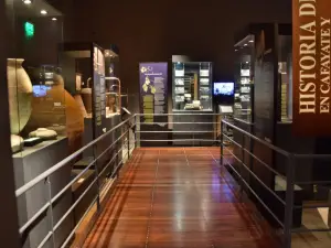 Museo della vite e del vino