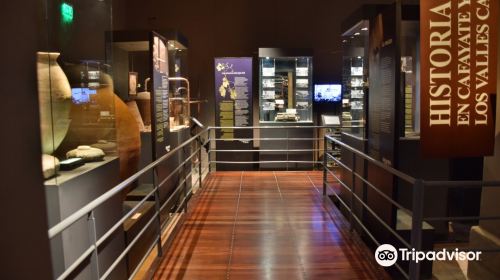 Museum of the Vine and Wine of Cafayate, Salta, Argentina