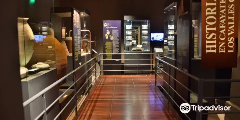 葡萄與葡萄酒博物館