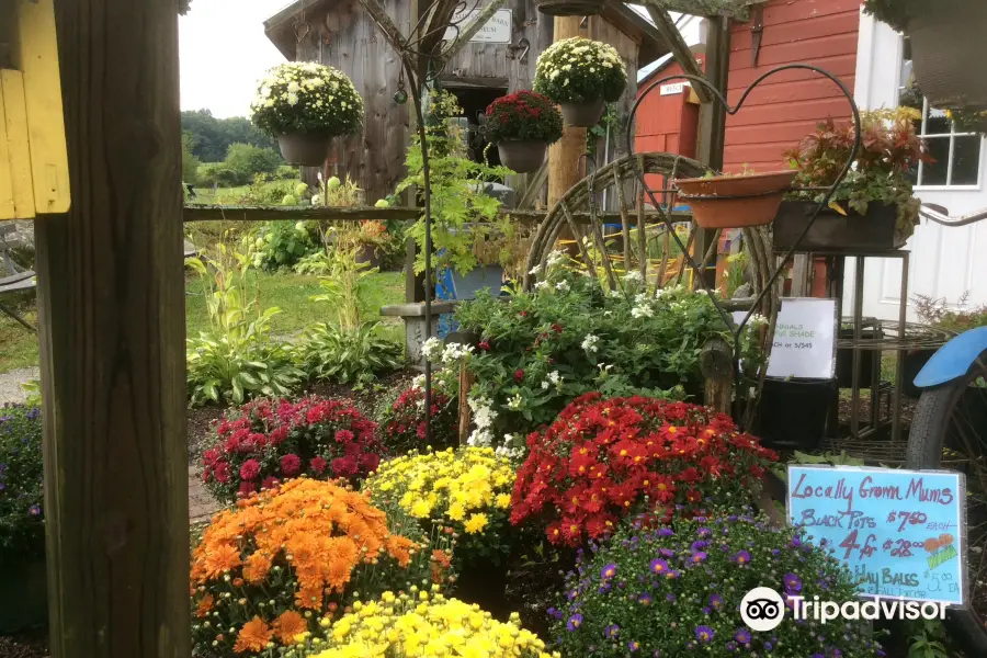 Beech Hill Farm & Ice Cream Barn