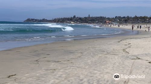 Cardiff State Beach