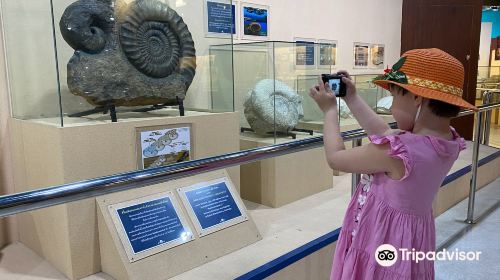 普吉貝殼博物館