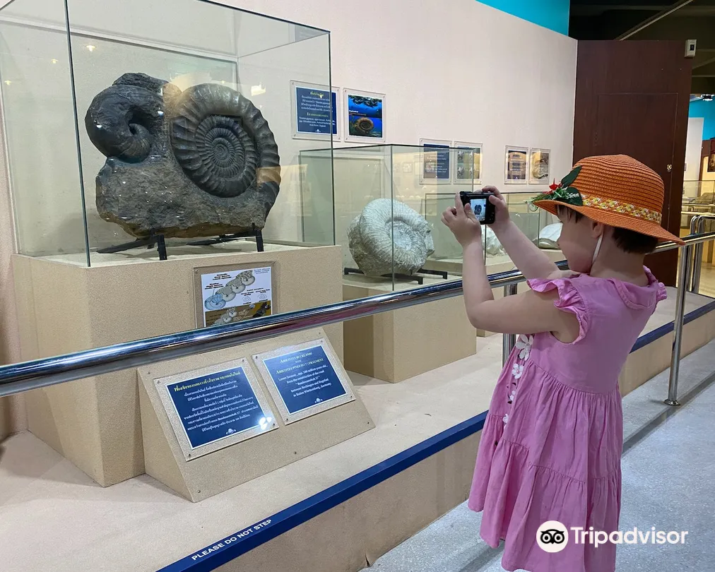 4_普吉貝殼博物館