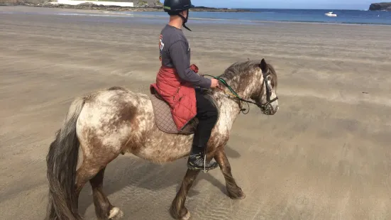 Carmen's Riding School