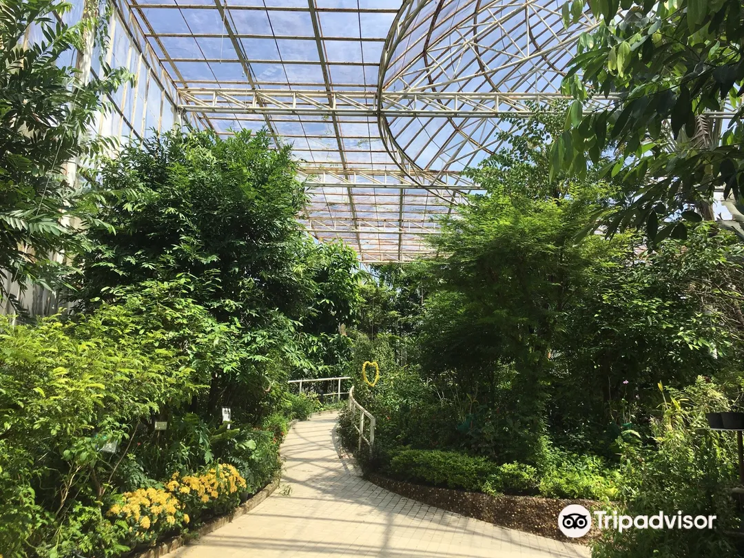 4_曼谷蝴蝶和昆蟲館