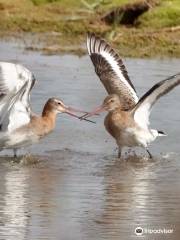 RSPB Freiston Shore