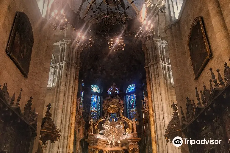 Lugo Cathedral