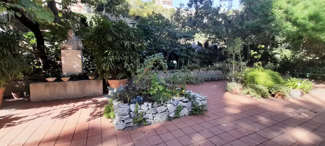 Hotel in zona Orto Botanico Pietro Castelli