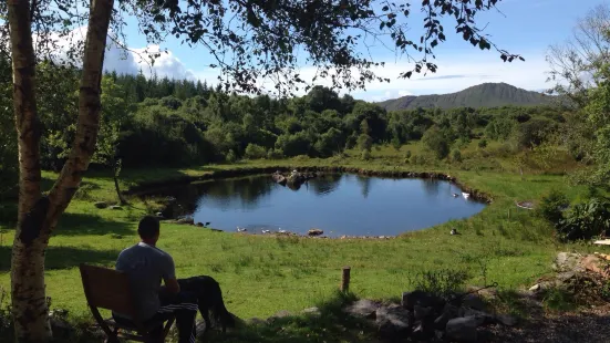 Blueberry Hill Farm Sneem