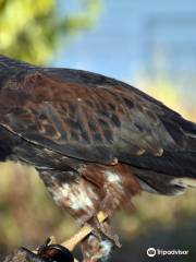 Centro de Rapaces y Granja Escuela Tudején