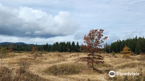 Mima Mounds Natural Area Preserve