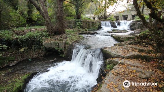 L'area di Montegelato