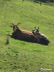 Haugaland Zoo