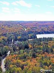 Dorset Scenic Lookout Tower