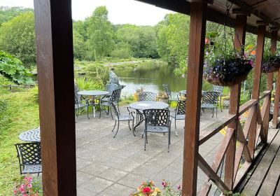 Cottages On Dartmoor & Tavistock Trout Fishery