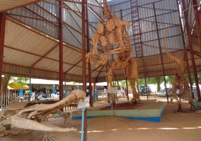 National Museum of Niger (Musée National du Niger)