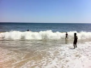 Kirk Park Beach