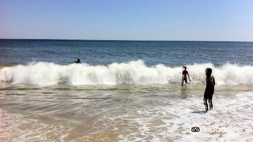 Kirk Park Beach