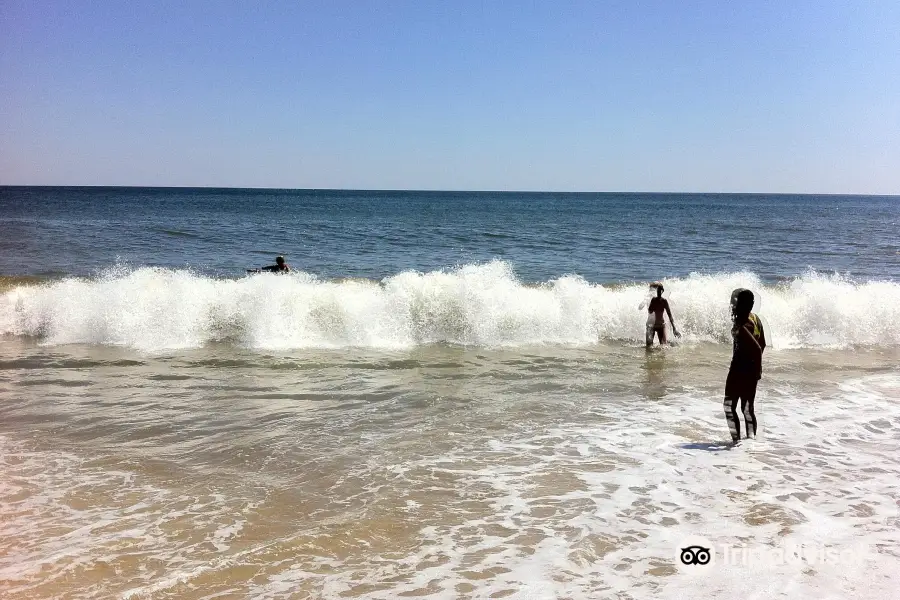 Kirk Park Beach