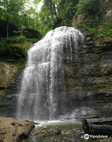 Tiffany Falls Conservation Area