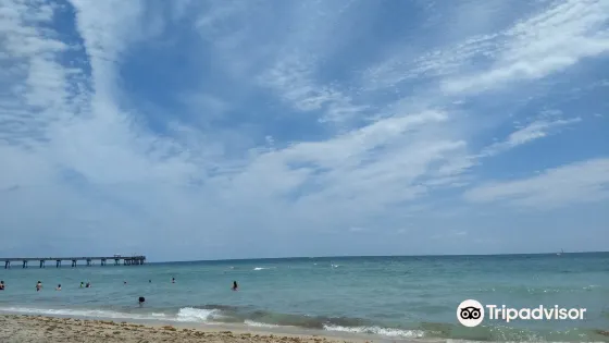 Dania Beach