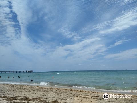 Dania Beach
