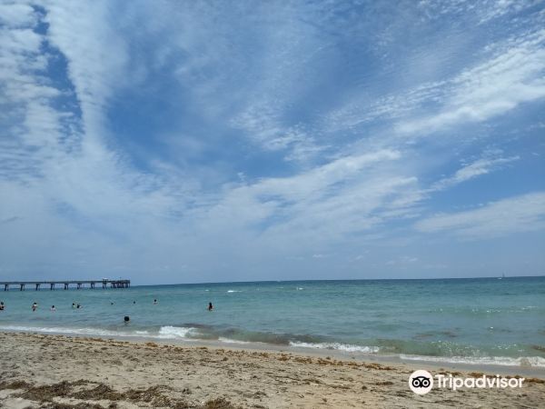Dania Beach
