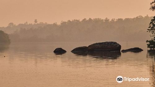 Jayasooriya lagoon boat safari service