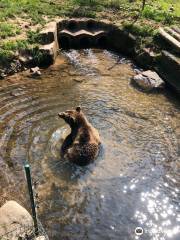 Alternativer Wolf- und Bärenpark Schwarzwald