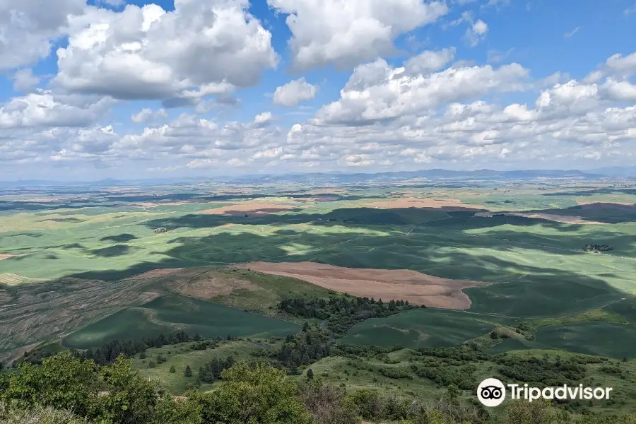 Steptoe Butte State Park