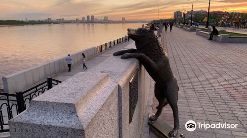 Monument Dog Named Druzhok