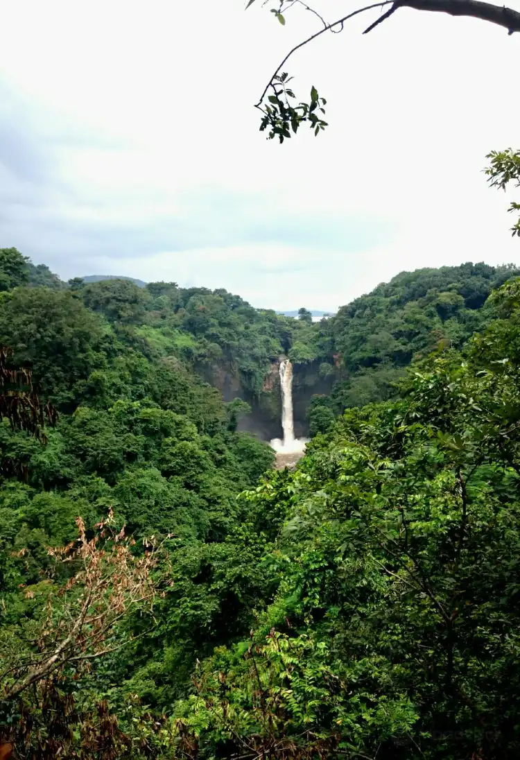 Các khách sạn gần Kebun Raya Purwodadi