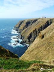 Cape St. Mary's Ecological Reserve