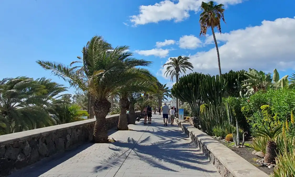 Hotels near Paseo Maritimo