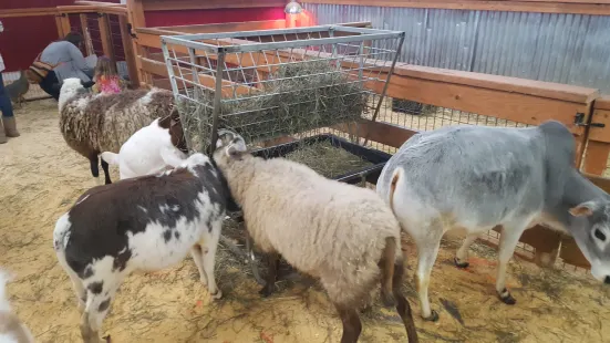 デビー・ドリトルズ・ペティング動物園