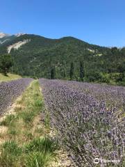 Distillerie des 4 Vallees