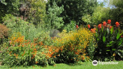 Red Cow Farm - Open Garden