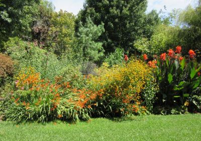 Red Cow Farm - Open Garden