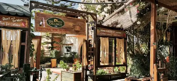 Hotels in Arkadii