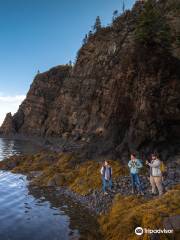 Fundy Treasure Tours