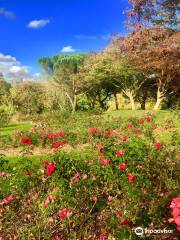 Parc floral de la Roseraie