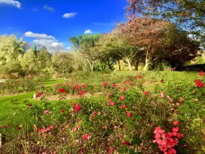 Parc Floral La Roseraie