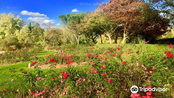 Parc floral de la Roseraie