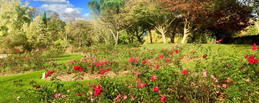 Parc floral de la Roseraie