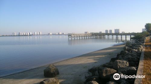 Port Orange Causeway Park